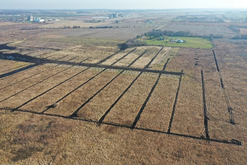 Evansville site in Rock County is being restored as part of Wisconsin Wetland Conservation Trust