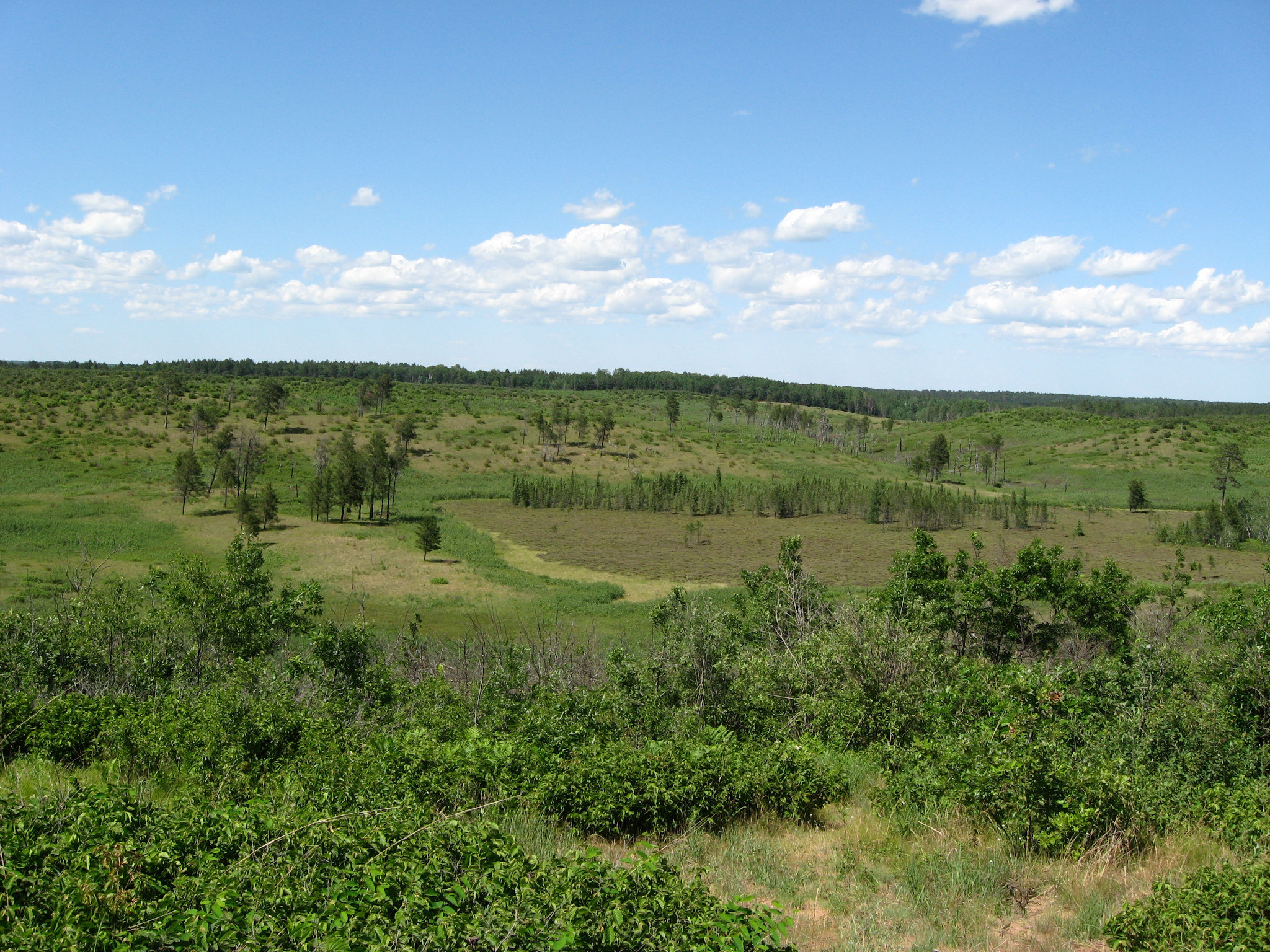 A view from a scenic overlook of the Namekagon Barrens Wildlife Area