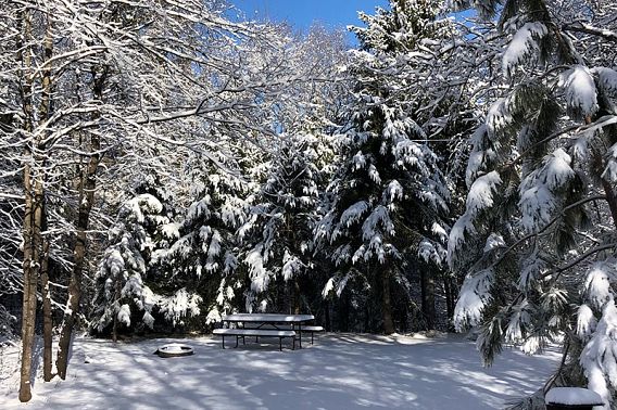 Snow-covered campsite at Copper Falls State Park