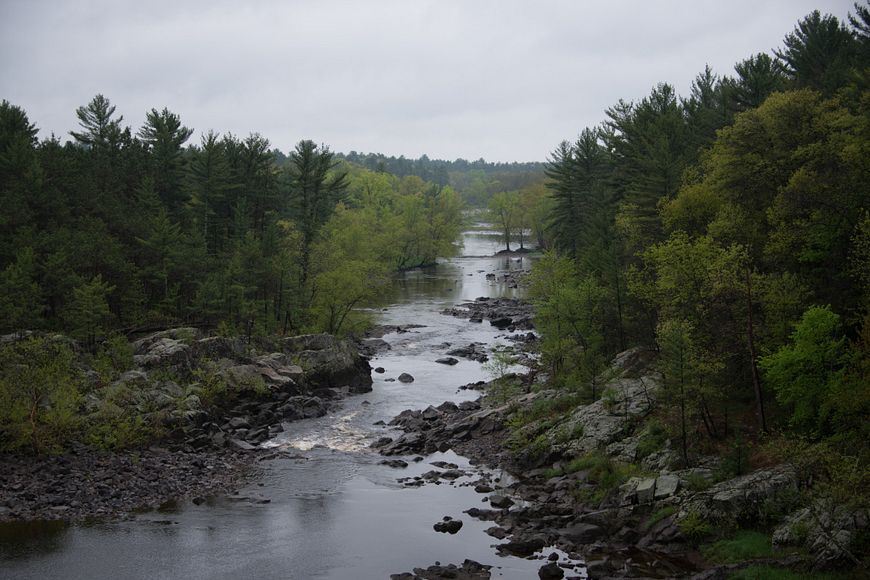 Black River flowing through state forest lands