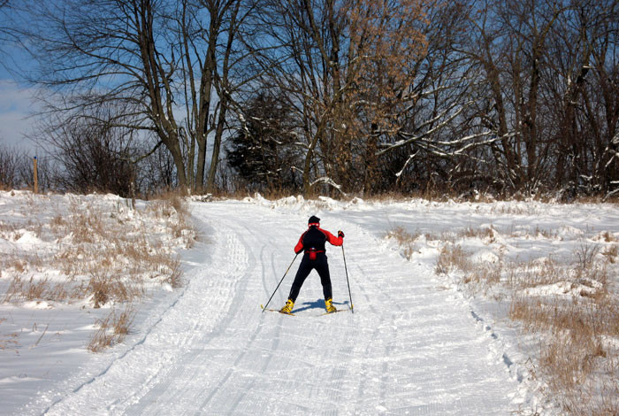 cross_country_ski.jpg