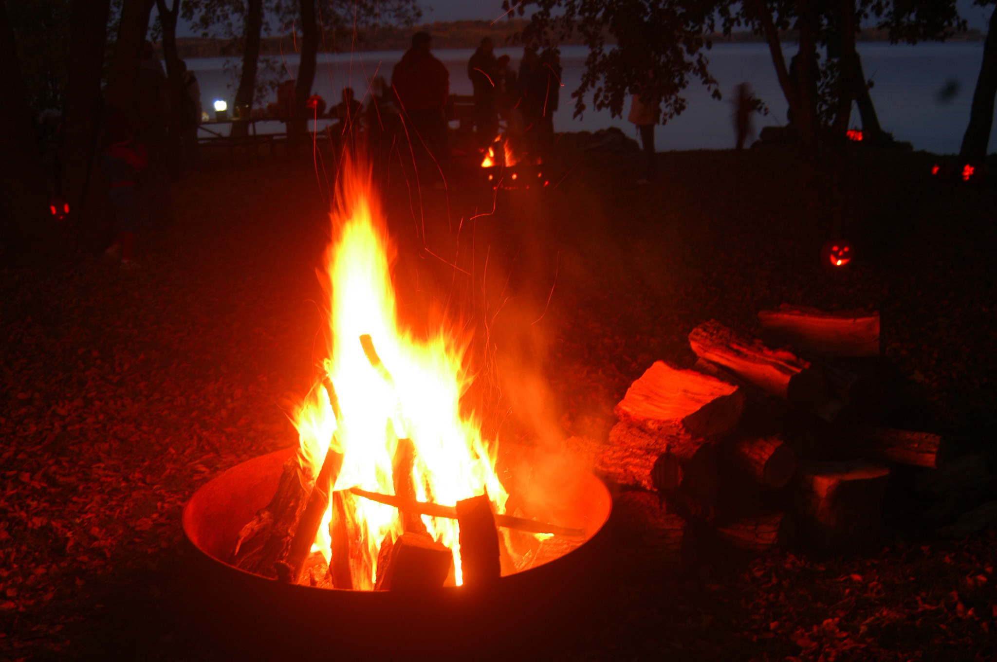 Wisconsin Furbearers: Storytime and Campfire | Wisconsin DNR