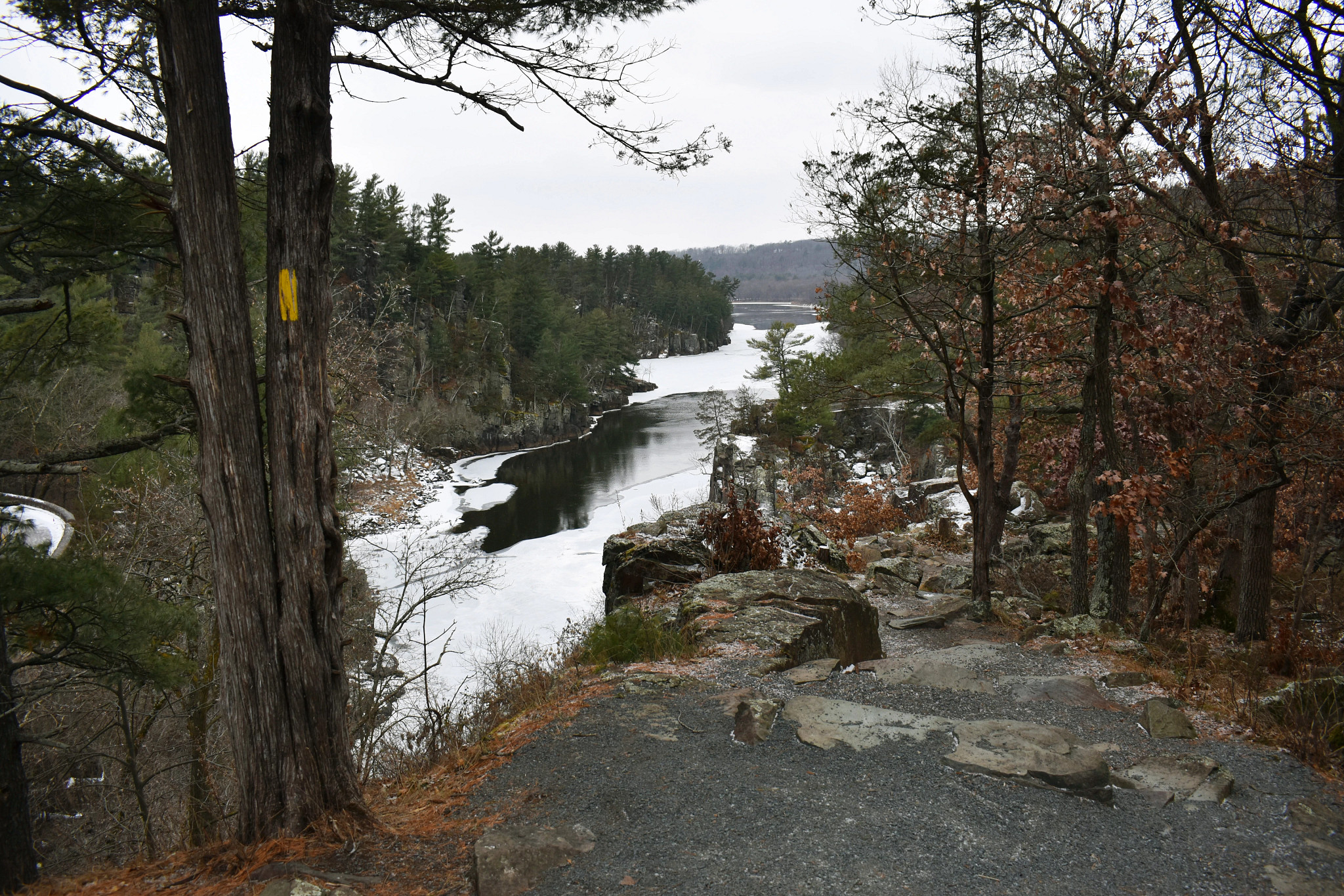 View of the St. Croix River at Interstate Park winding through a forested landscape with rocky terrain in the foreground, marked with a yellow trail blaze on a tree.