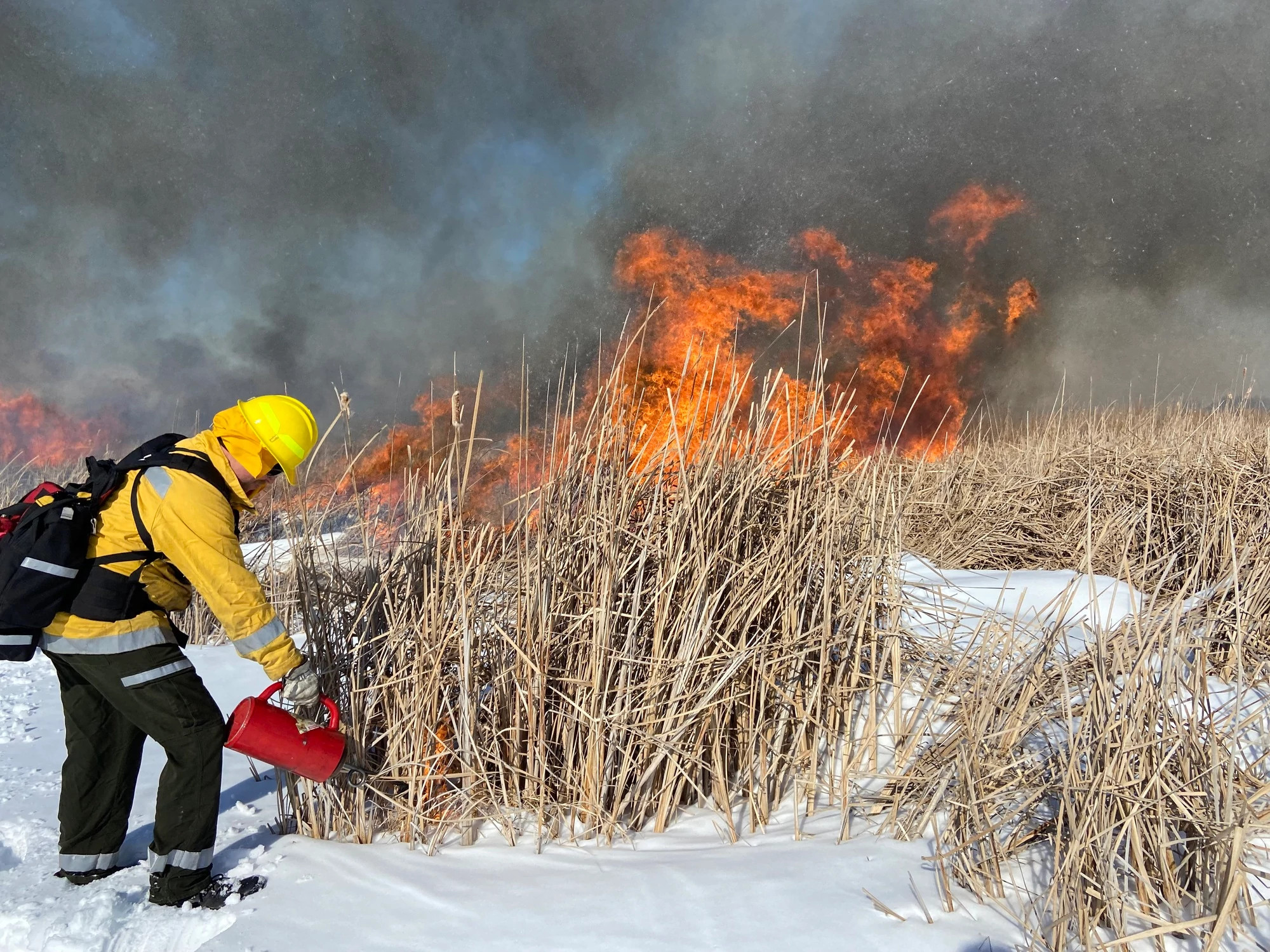 Wisconsin DNR news release