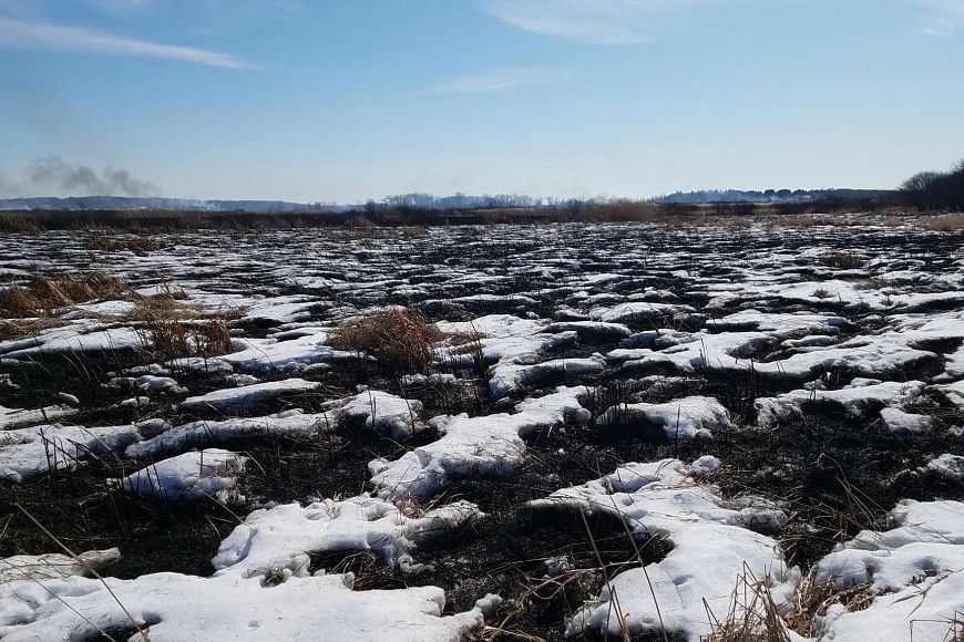 A snowy landscape burning with a prescribed burn