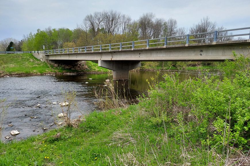 A river surrounded by a vegetation with a bridge crossing over it