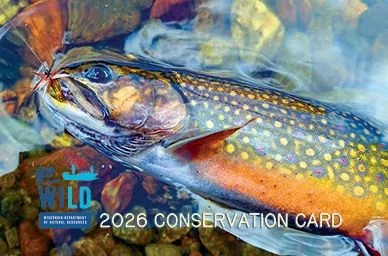 gowildconservationcardfeature.jpg