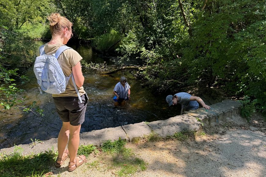 Person standing by a stream watching two others who are in the water, surrounded by lush greenery on a sunny day.