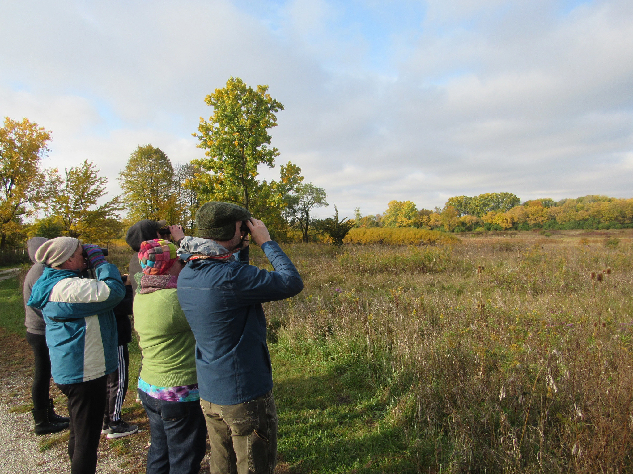 Group looks through binoculars looking for birds in an autumn prairie.