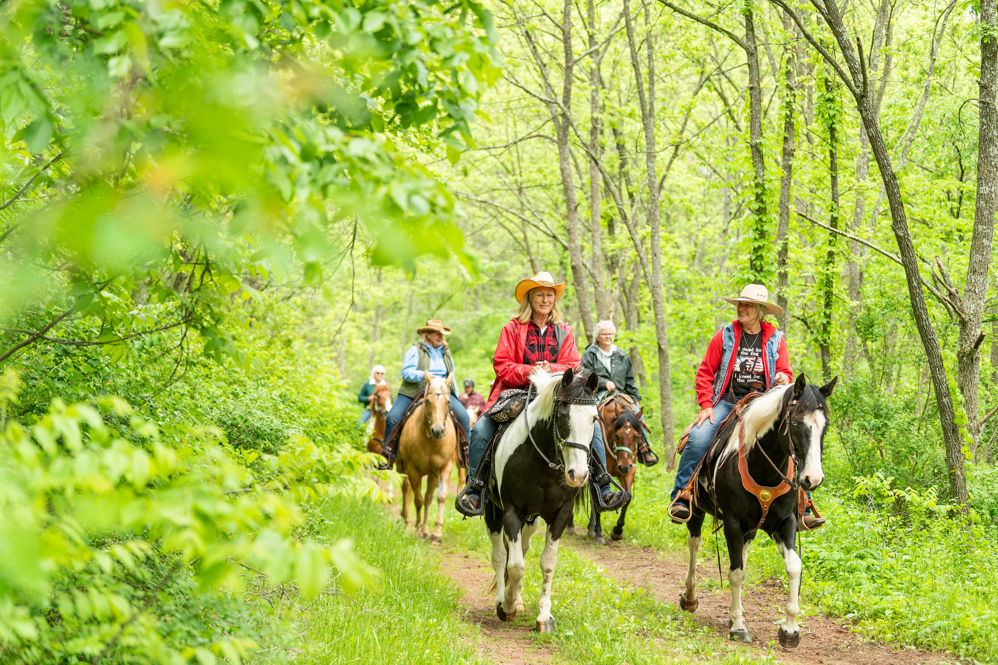 Gov Dodge 1 David Nevala 20220604_Horse_13307.jpg