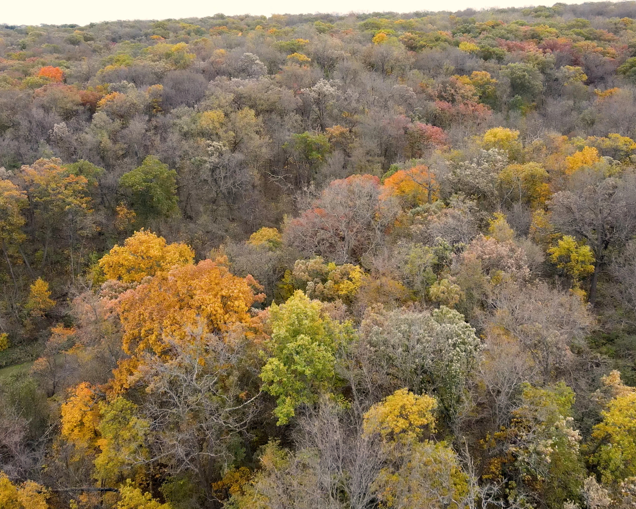 Hunters: Explore Public Lands This Fall
