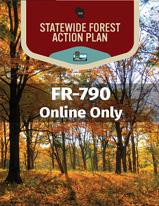 2020 Statewide Forestry Action Plan