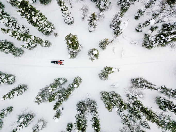 aerial view of snowmobile riding through snowy forest