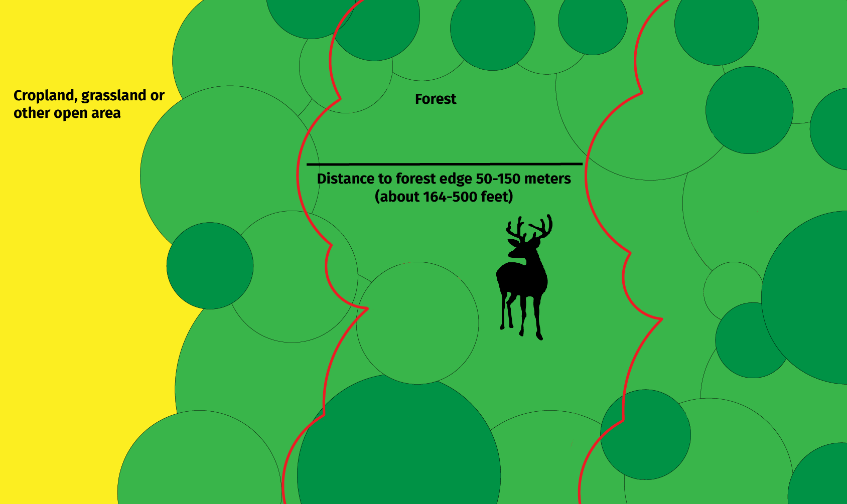 Deer_Forest.png