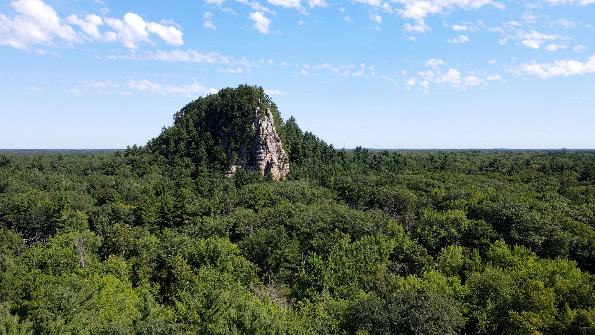 A green, summery forest surrounding Roche-A-Cri mound