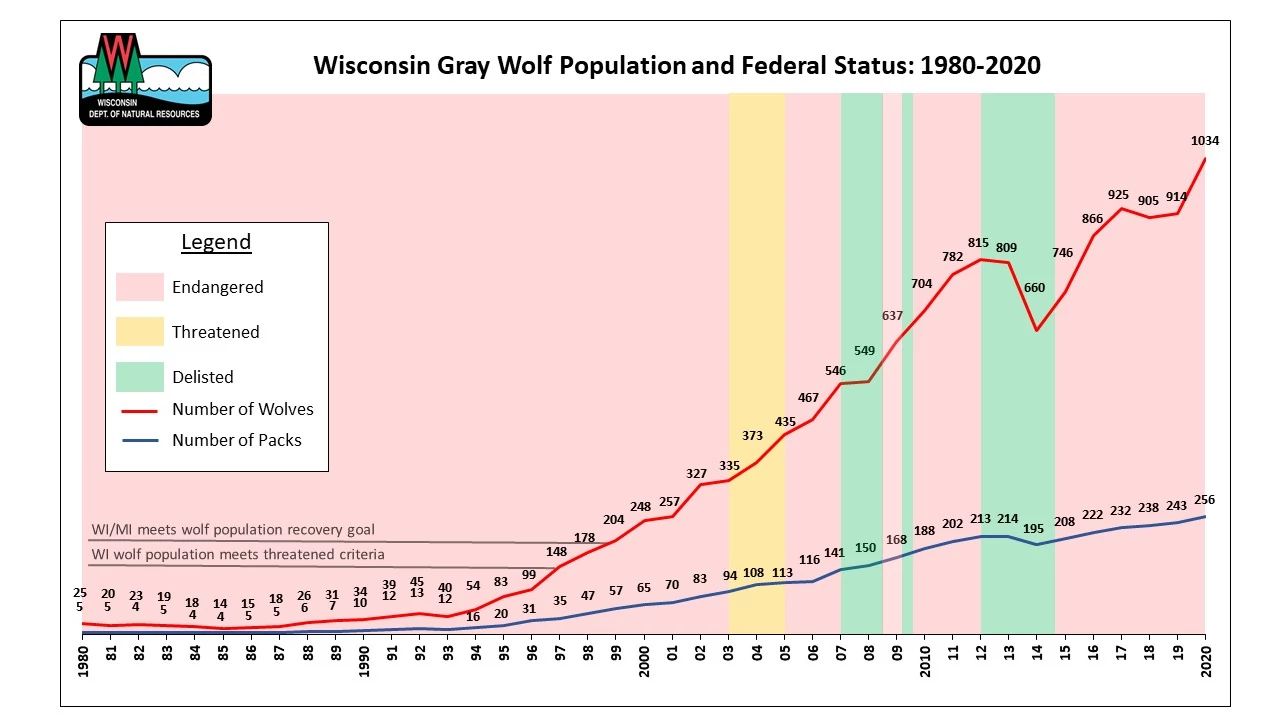 Wolves in Wisconsin Wisconsin DNR