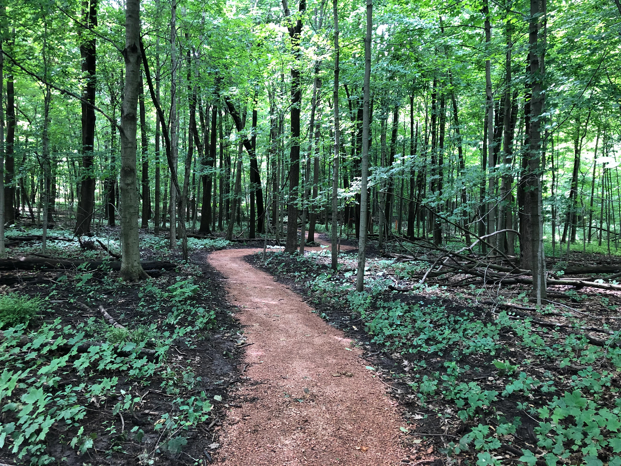 accessible gravel pathway within forest exploration center in Milwaukee