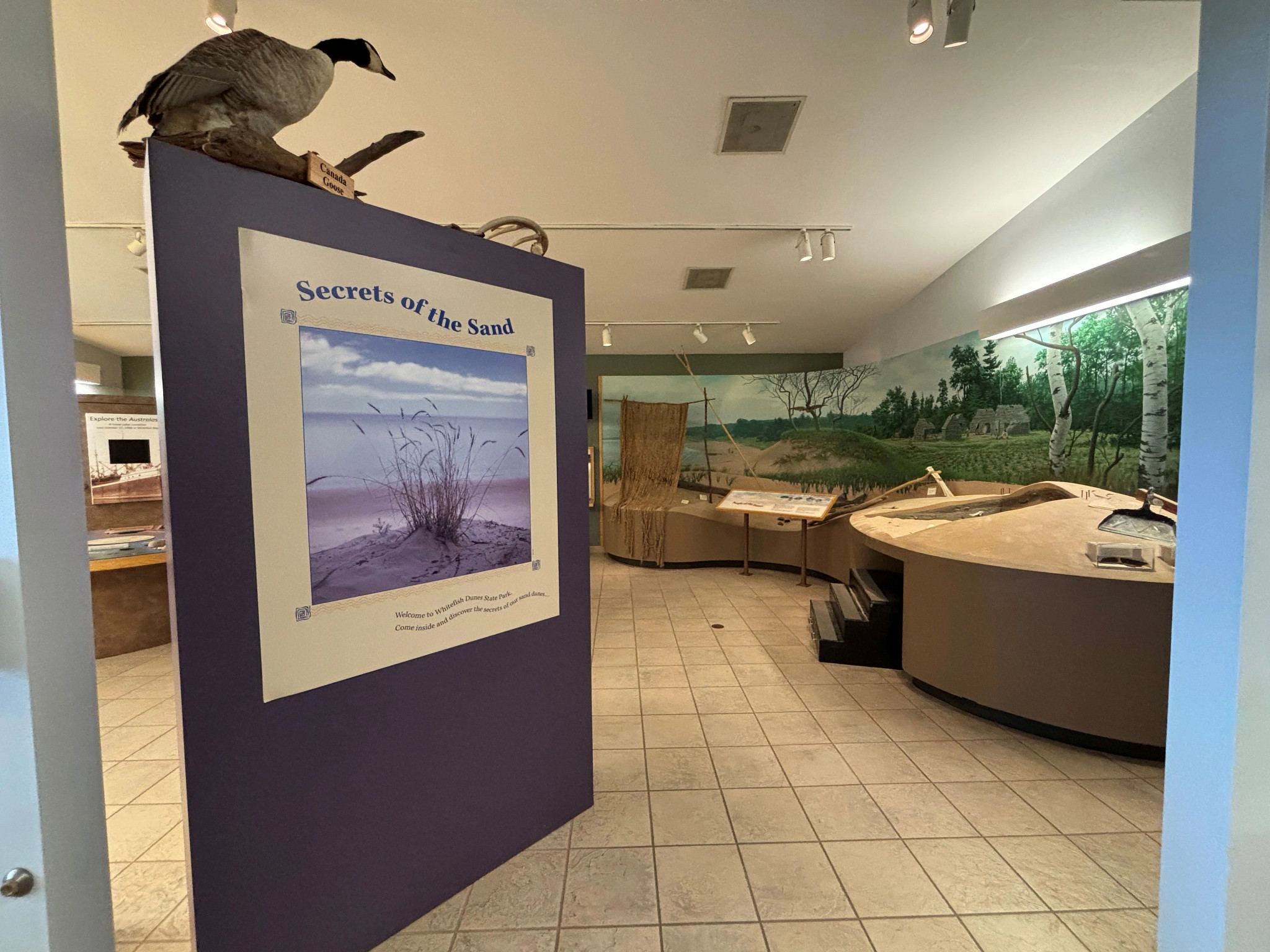 Secrets of the sand exhibit in the nature center with murals and displays.