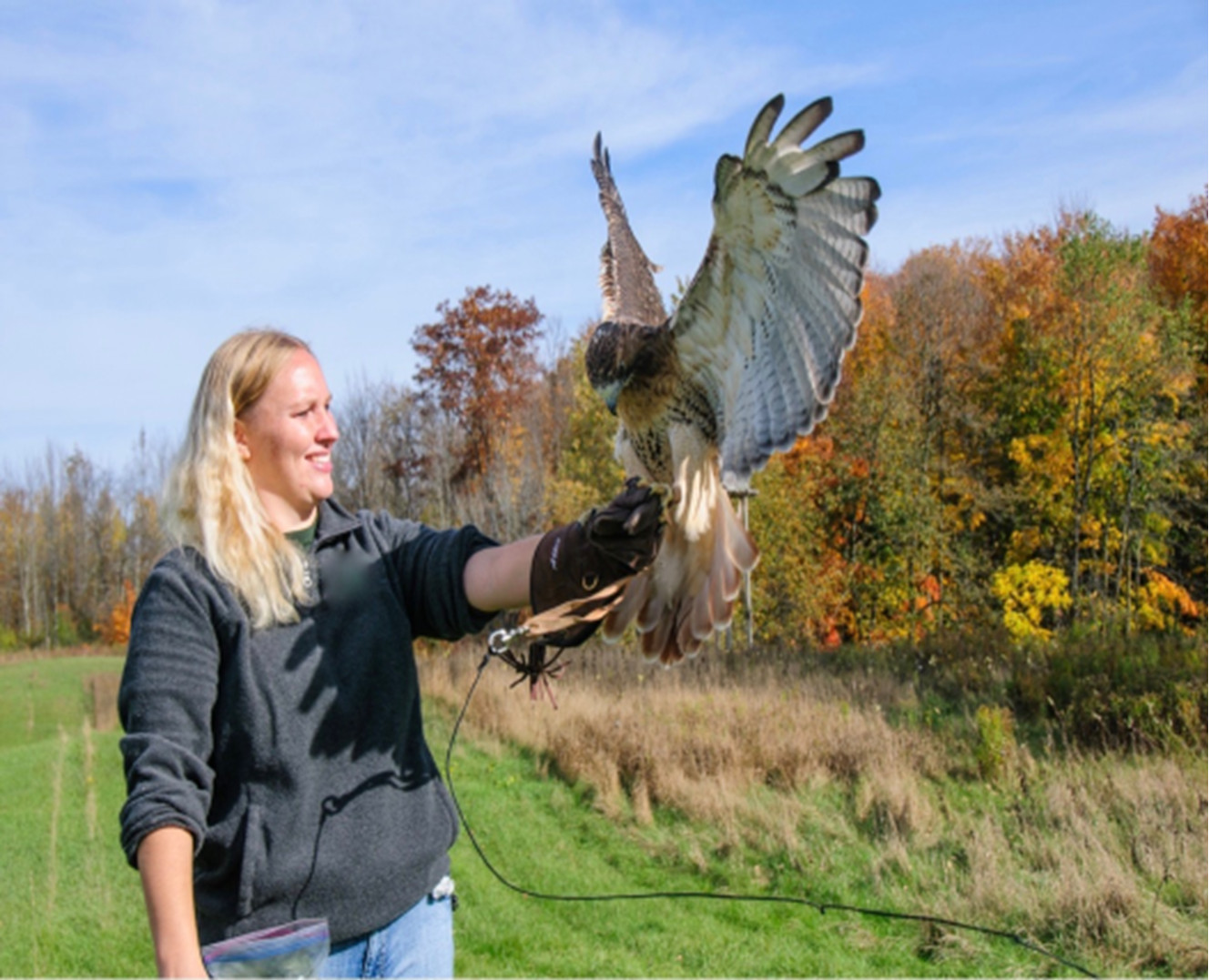 Raptor 101 | Wisconsin DNR