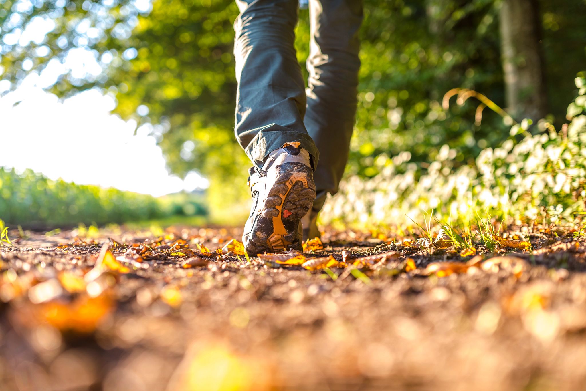 An image of a person's feet while hiking a trail in the fall.