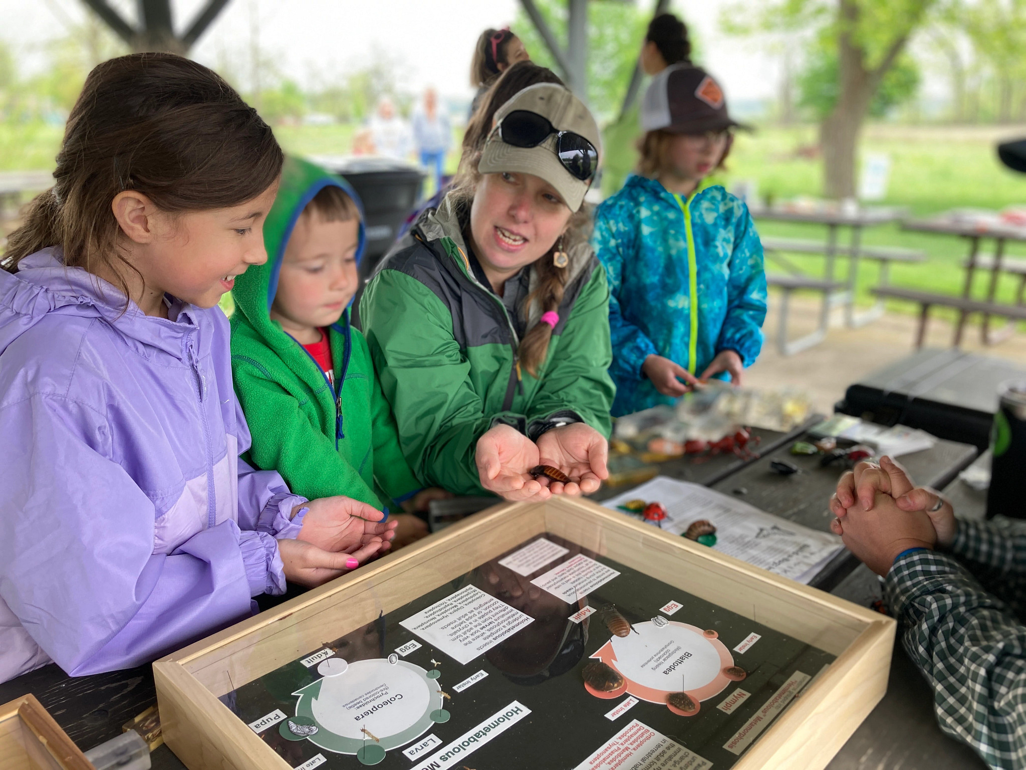 A mother and two children look at bugs in an outdoor picnic shelter.