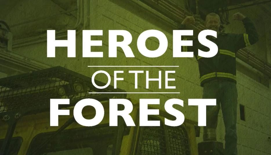 A graphic that reads "Heroes of the Forest".