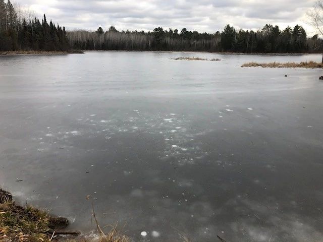 An image of Niebauer Springs Pond during the winter. 