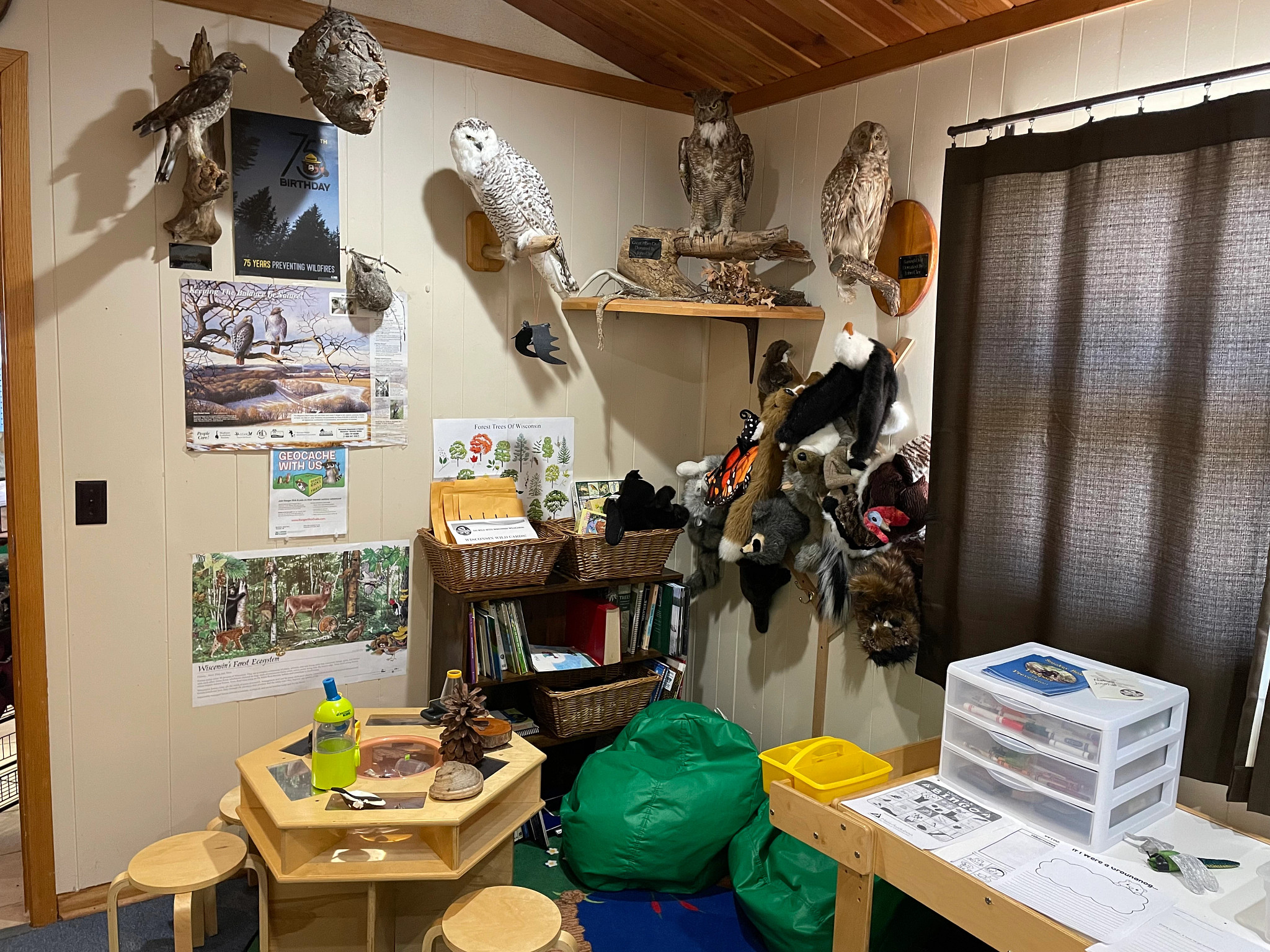 A corner with reading chairs, activities, kids books, toys and taxidermy birds.