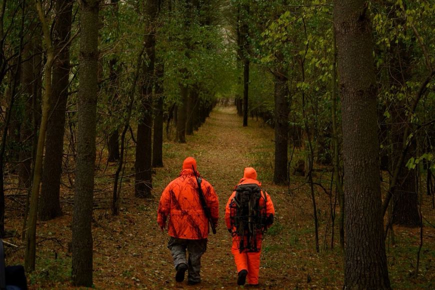 Two individuals in blaze orange body suits walk through a wooded trail lined with leaves and pine needles.
