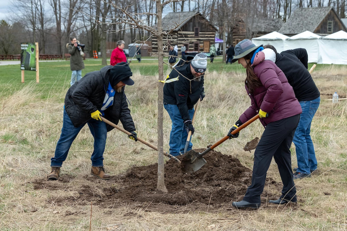 Several people, all holding shovels, planting a tree at a park.