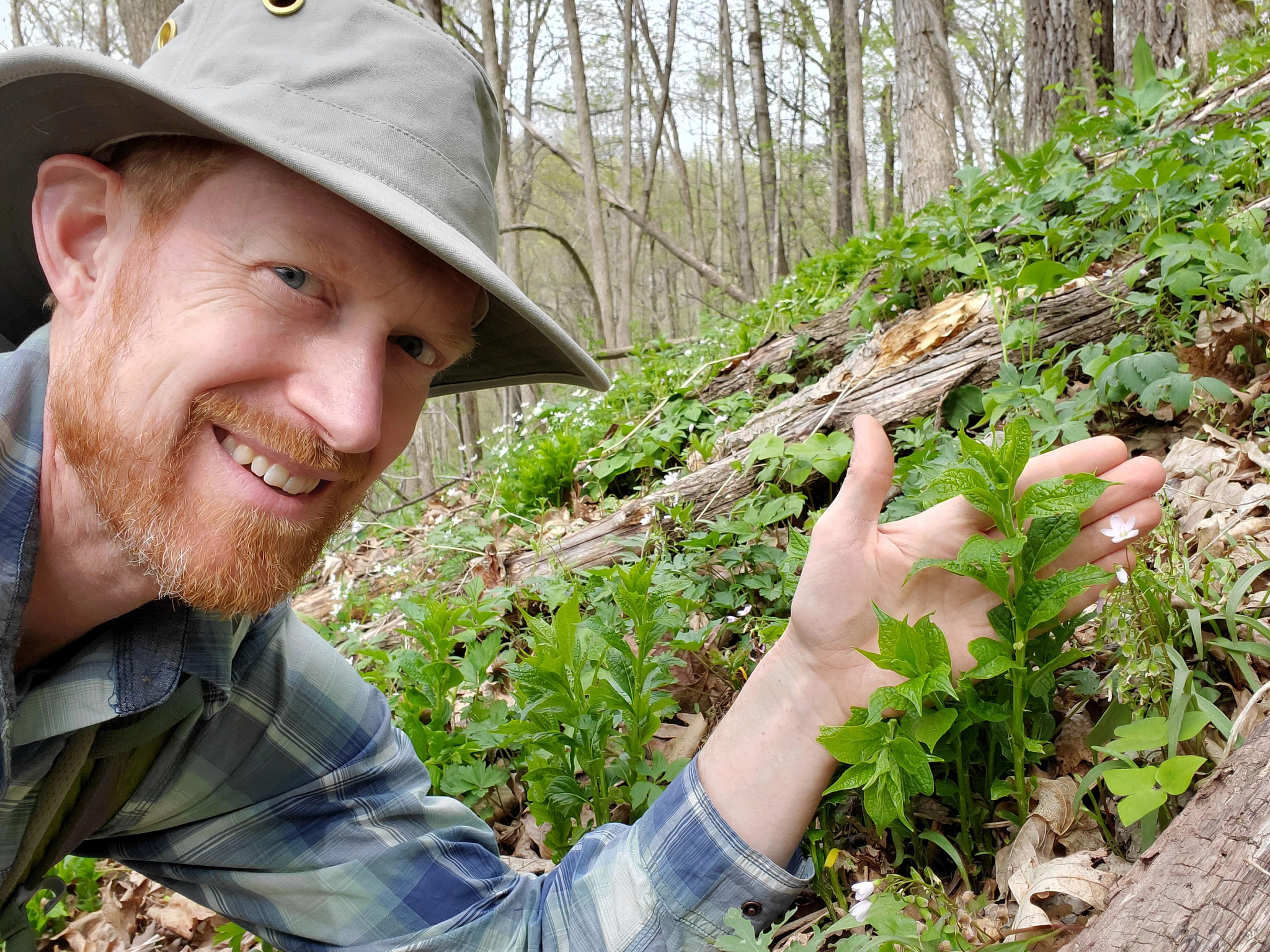 man posing next to green violet in foresty area