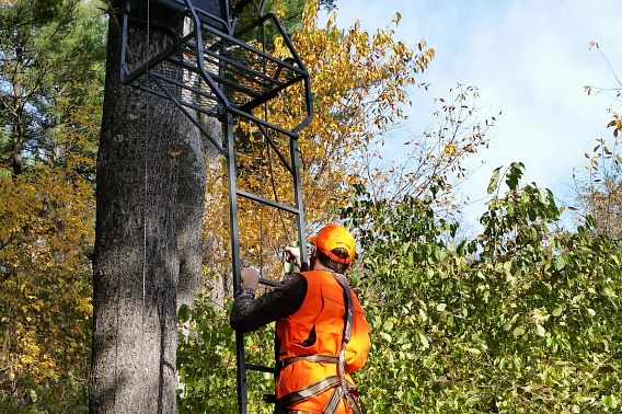 A hunter in blaze orange climbs a ladder to their stand.