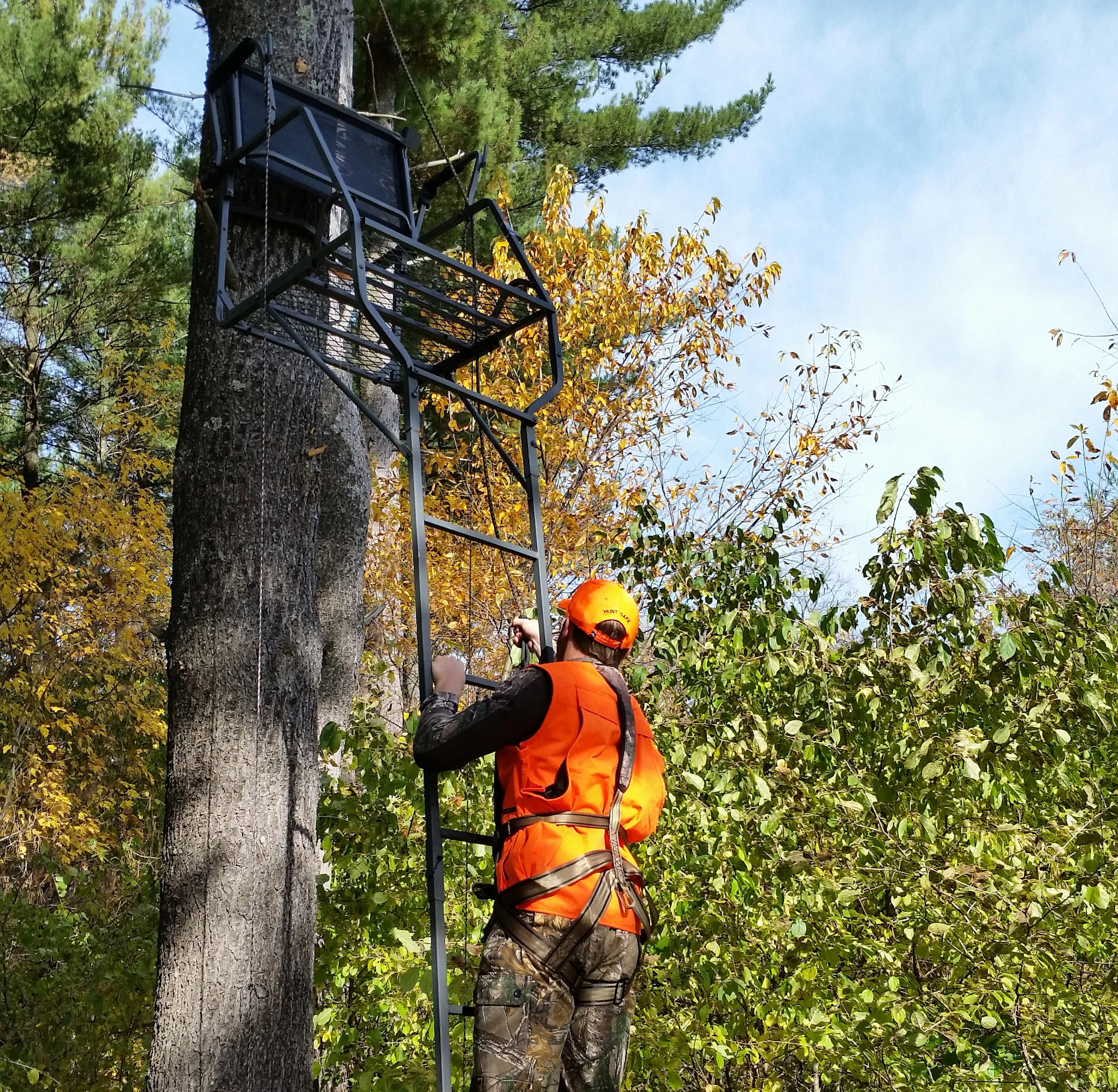A hunter wearing camo and blaze orange climbs up to a treestand while using a harness.