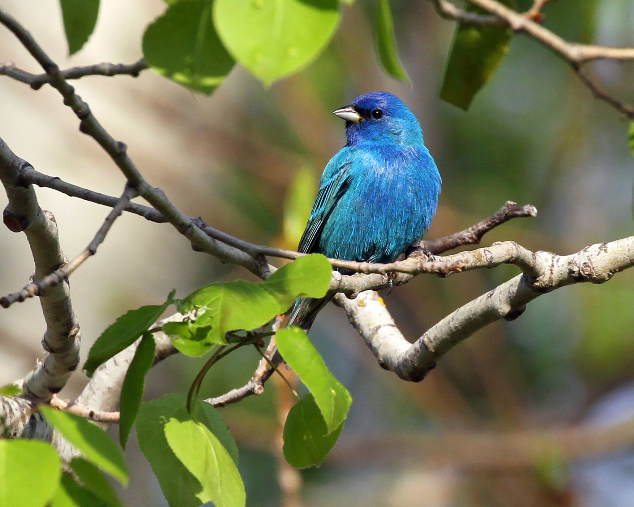 Wisconsin DNR news release