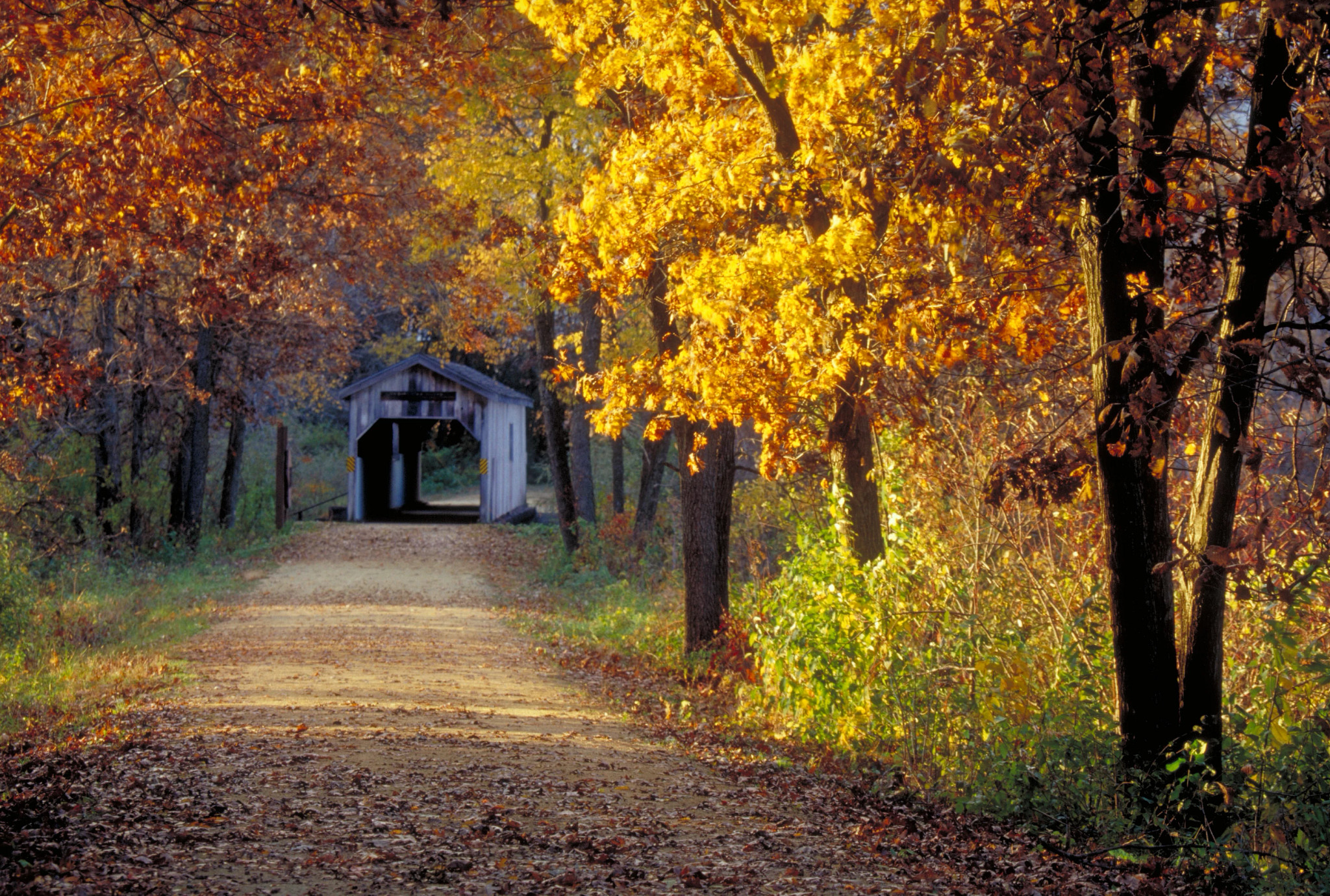 sugar river trail in the fall