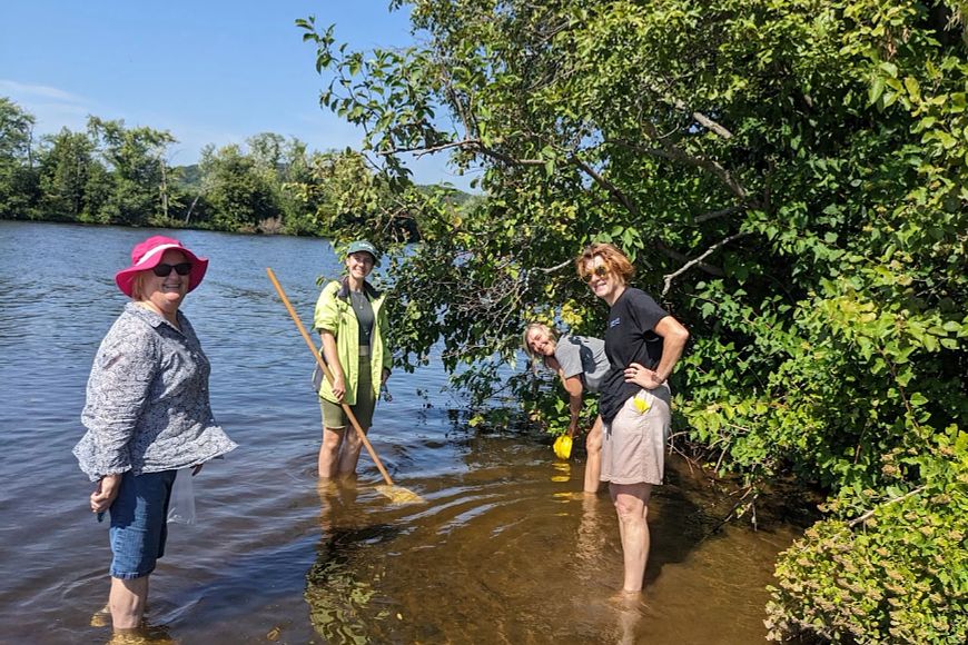 A group of volunteers stand in shin-deep water along a lakeshore with nets in their hands.