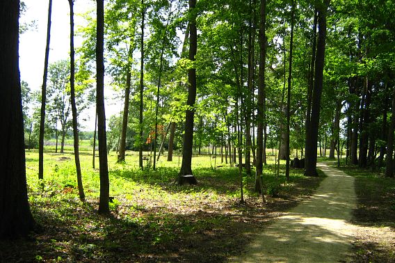 Lizard Mound State Park