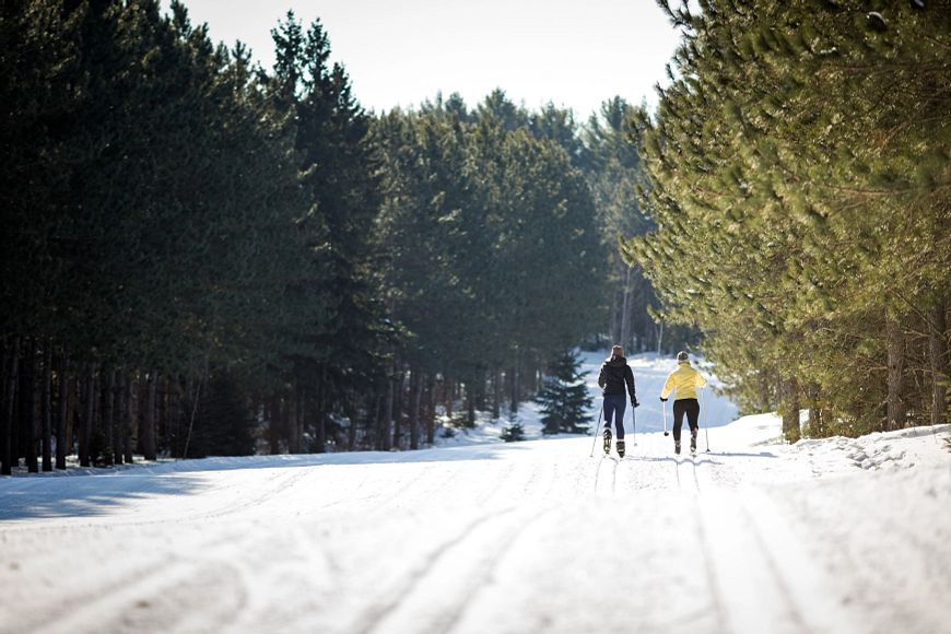 cross-country skiiers on snow trails