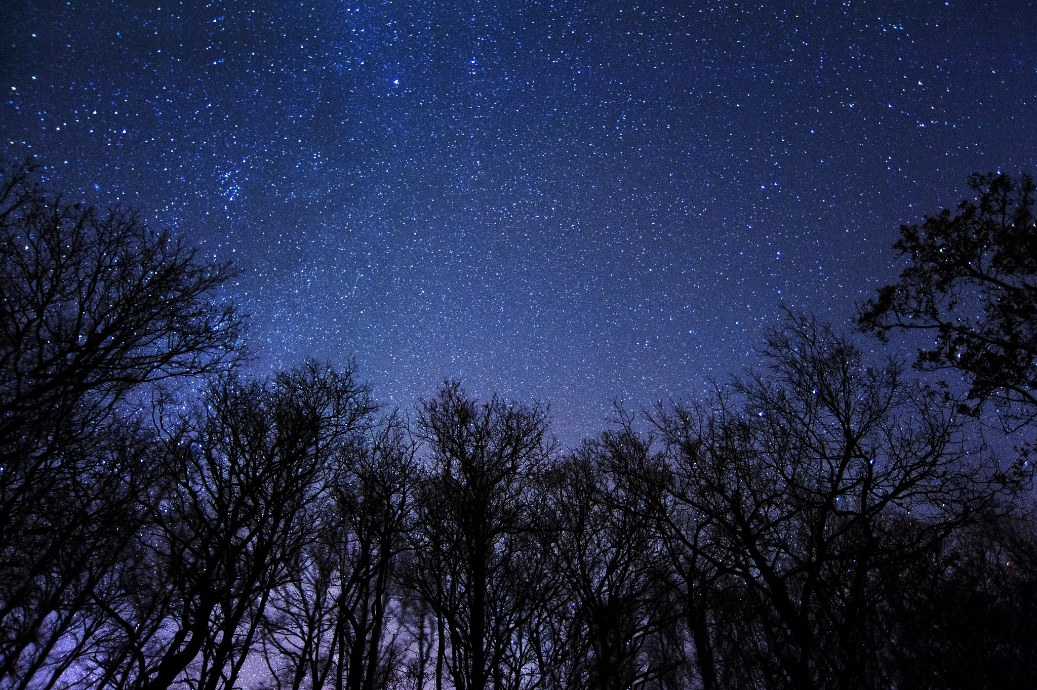 beautiful night sky with moon