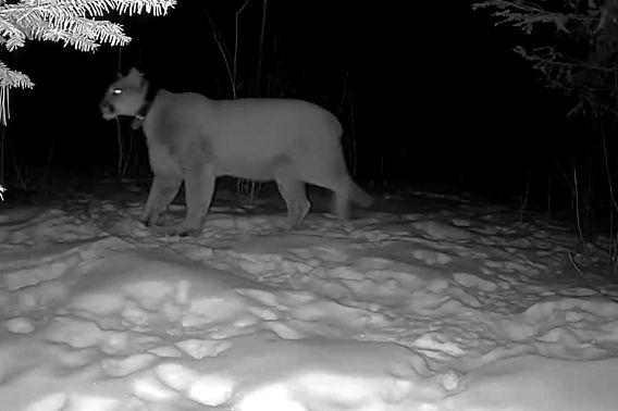 Screenshot 2026-02-04 135030.jpeg