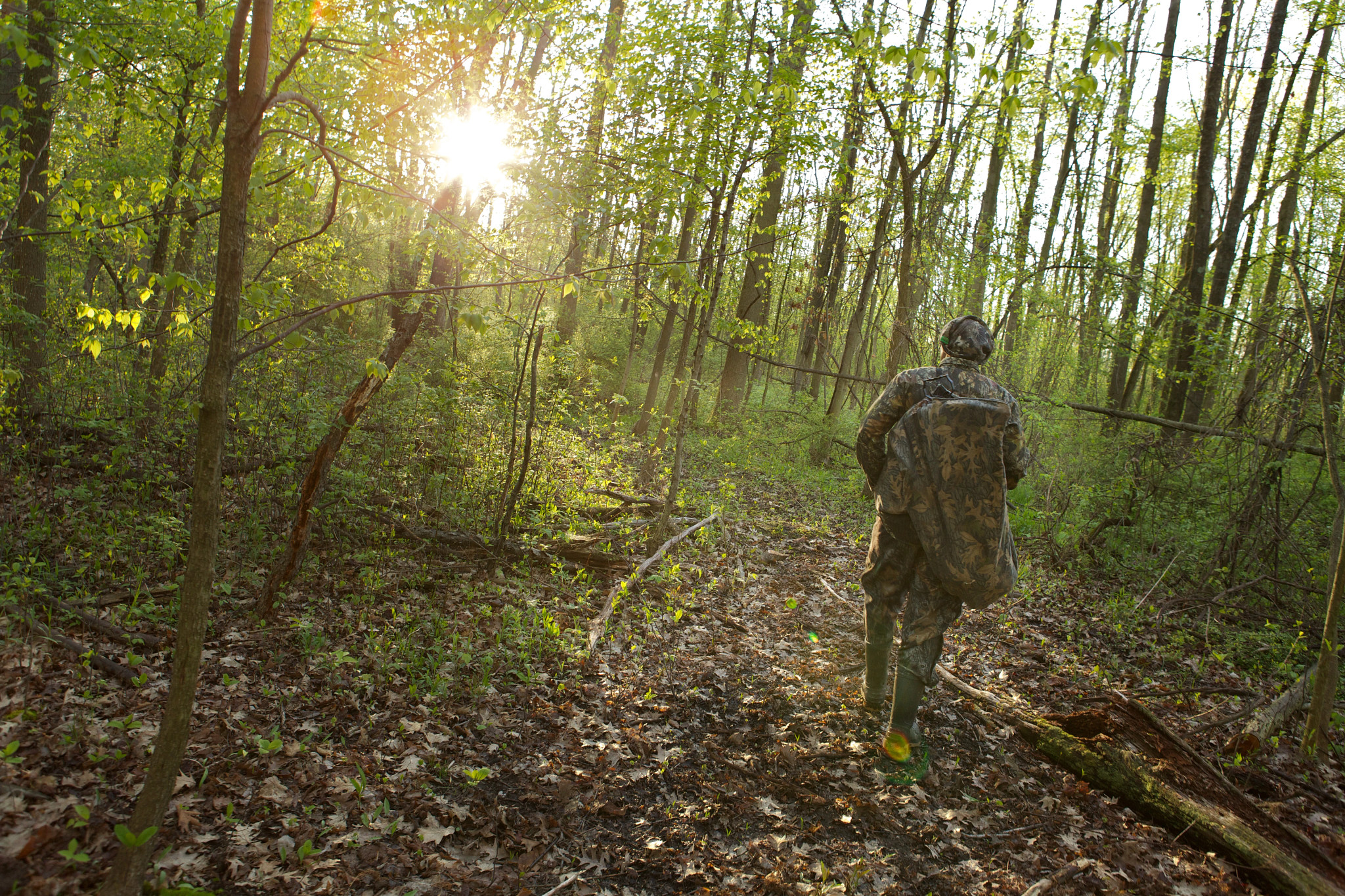 A hunter wearing camo walks into a green forest. 