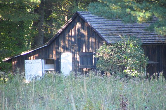 Aldo Leopold's shack