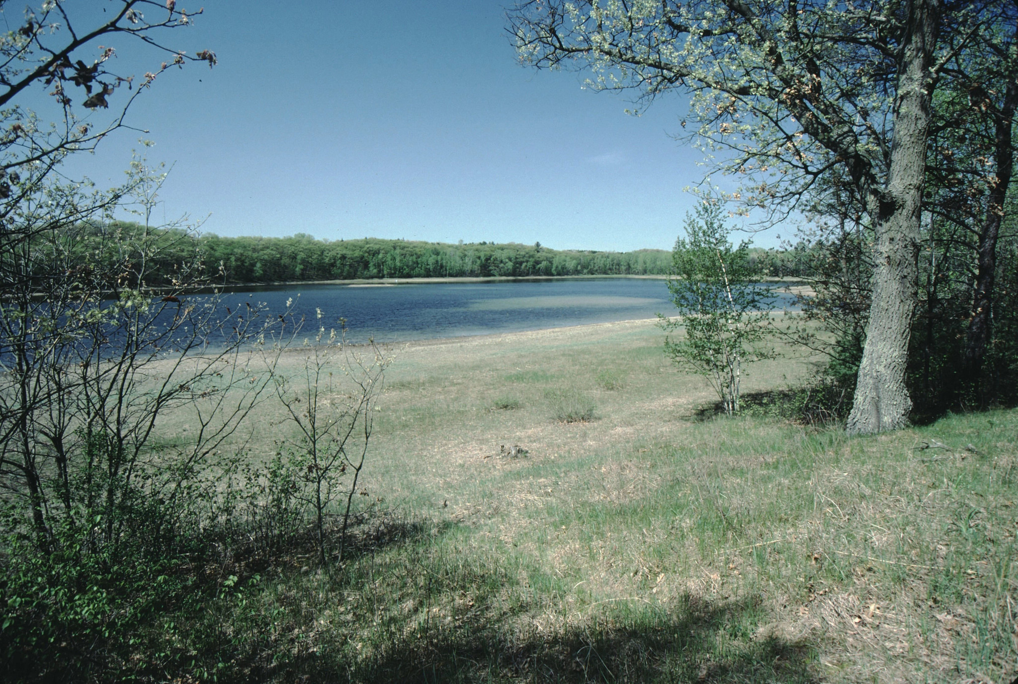 A view of Plainfield lake through trees in summer. 