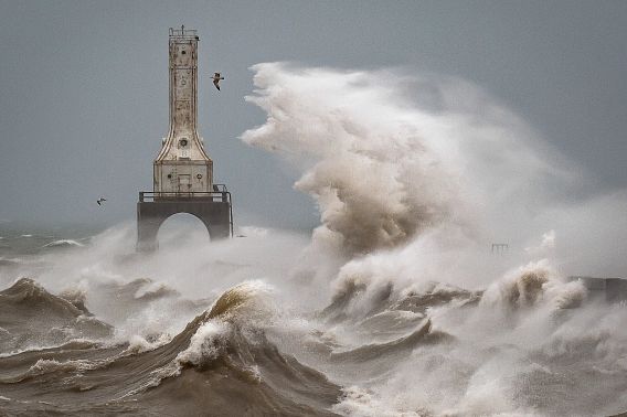 A monster wave crashes over the breakwater towards the Port Washington Lighthouse. The crest of the wave looks a bit like Godzilla, mouth agape and ready to swallow the seagull flying frantically away and maybe the lighthouse too. Below the great wave, Lake Michigan churns chaotically with frothy taupe and white waves, against a misty leaden grey sky.