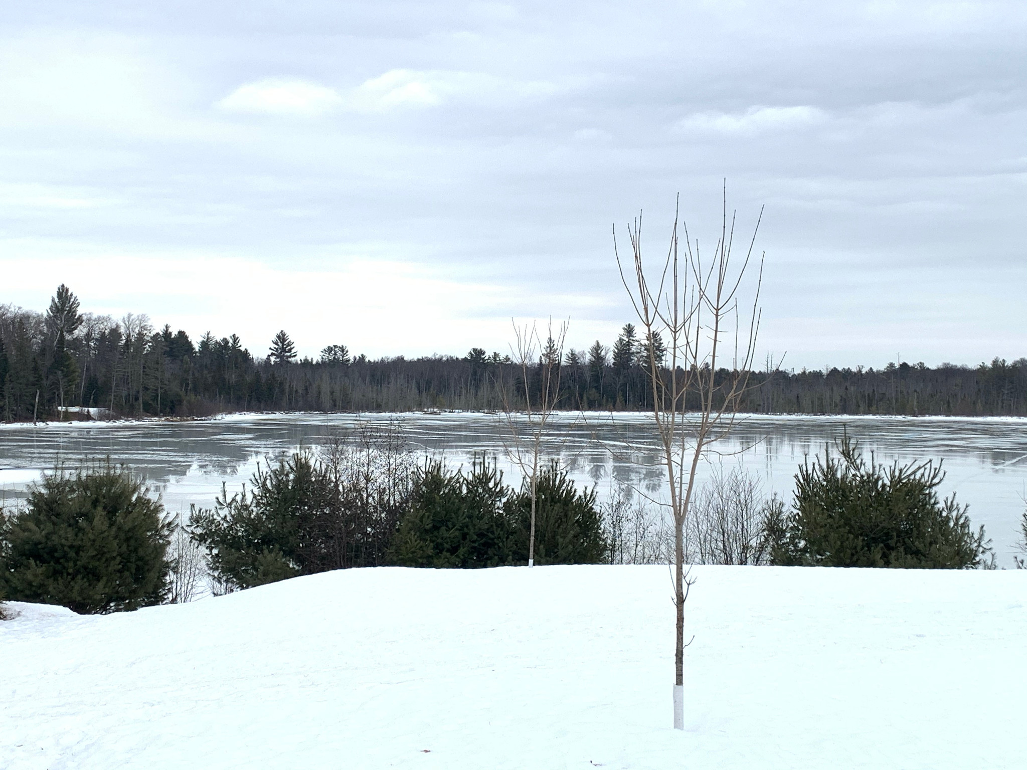 governor-thompson-state-park---woods-lake.jpg