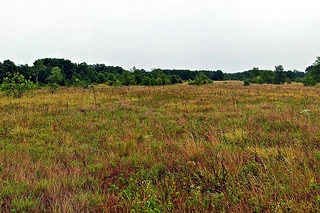 Buffalo River Trail Prairies | No. 358 | Wisconsin DNR