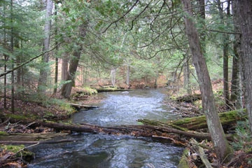 Eighteen Mile Creek | No. 426 | Wisconsin DNR