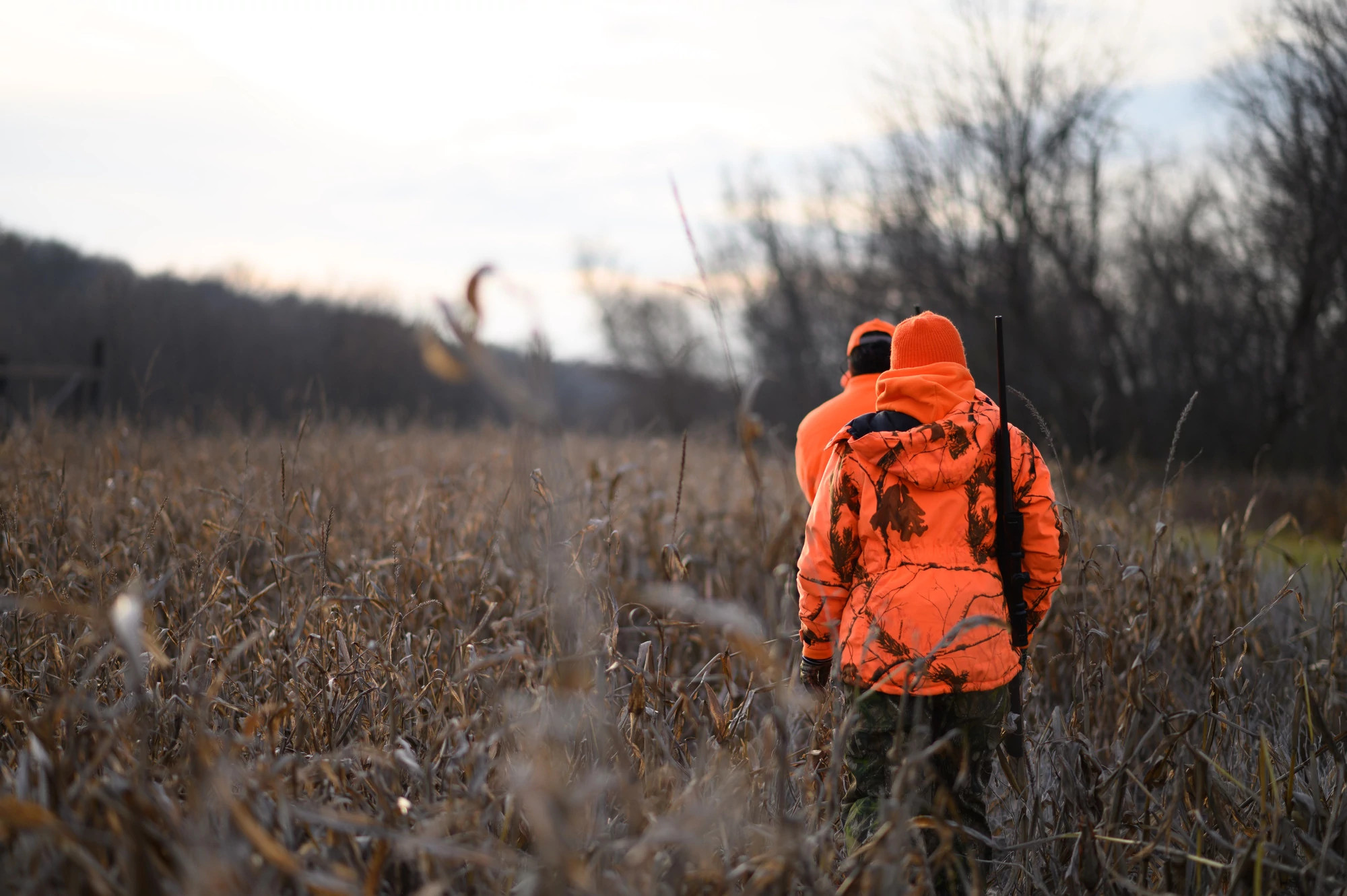 Two hunters walk in a fall field wearing blaze orange, backs to camera.