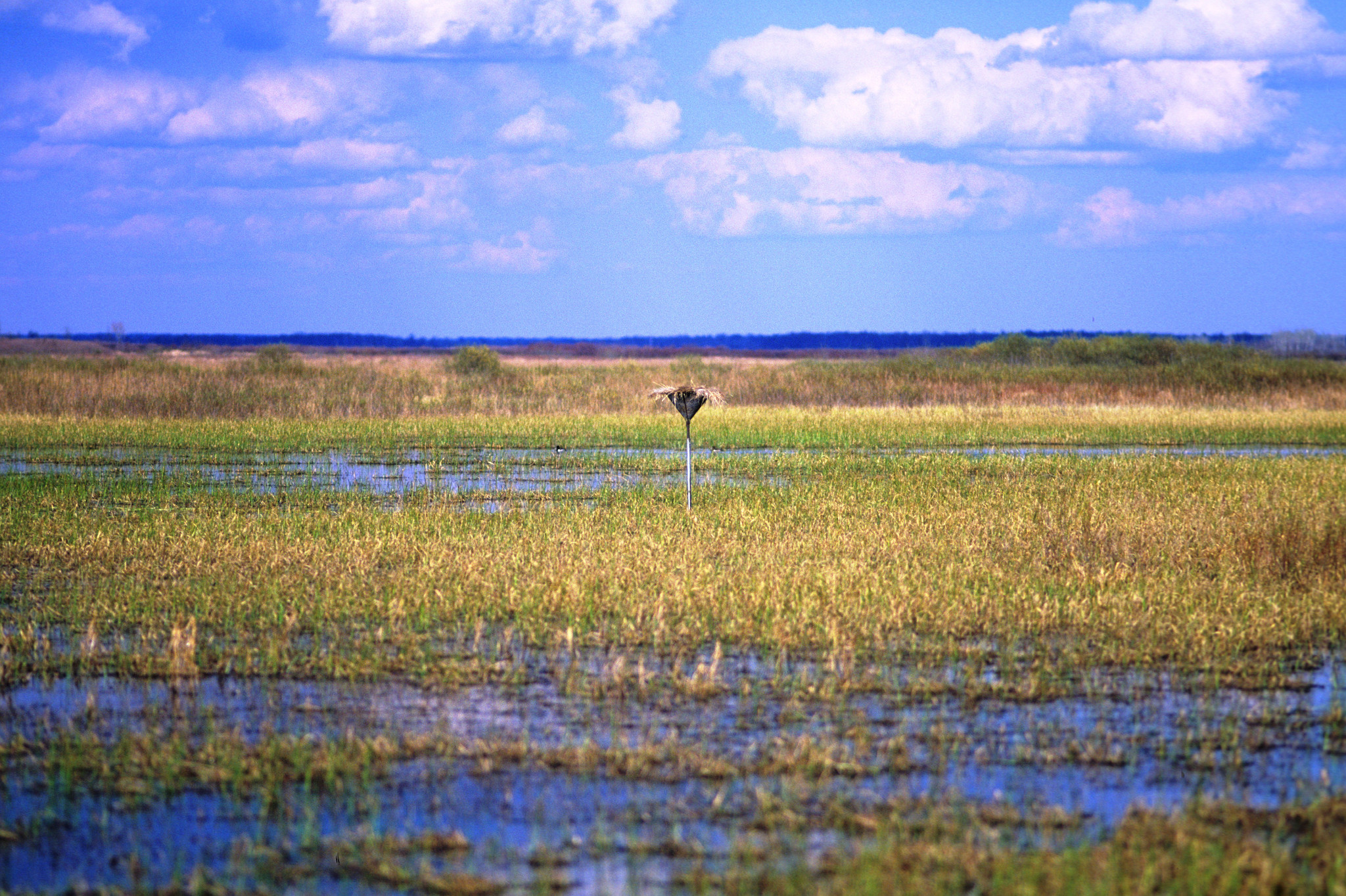 Crex Meadows | Wisconsin DNR