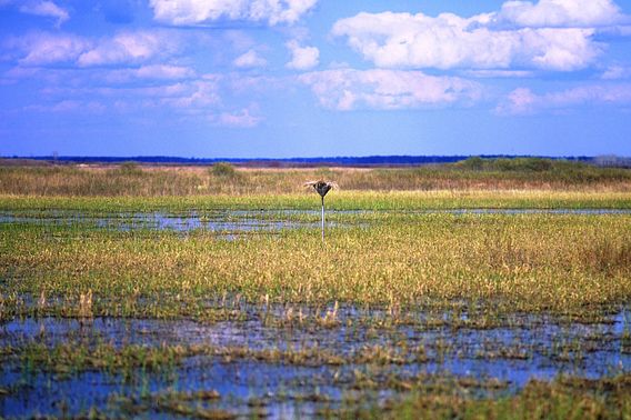 Crex Meadows | Wisconsin DNR